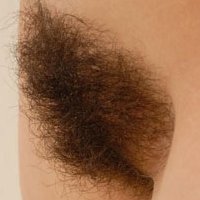 GELEKTE FOTO'S