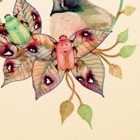 Colleen Parker Naakt